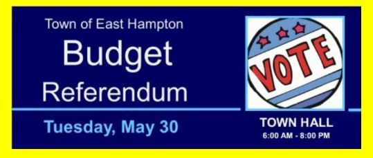 Vote in Budget Referendum May 30